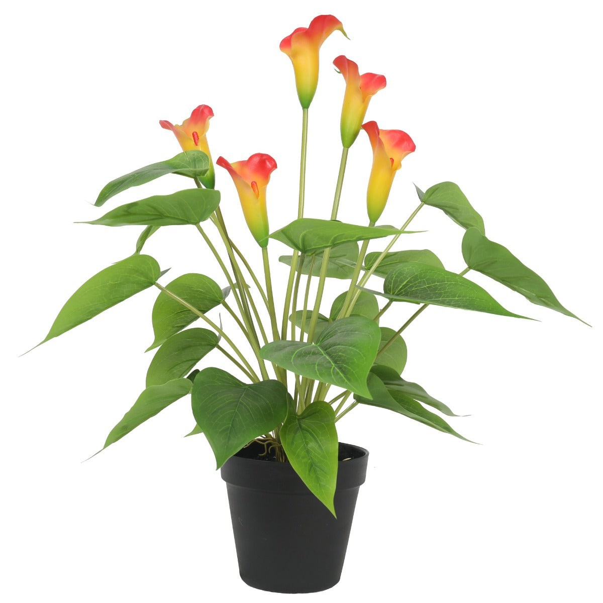 Artificial calla lily plant in black pot, orange-red and yellow blooms with green leaves