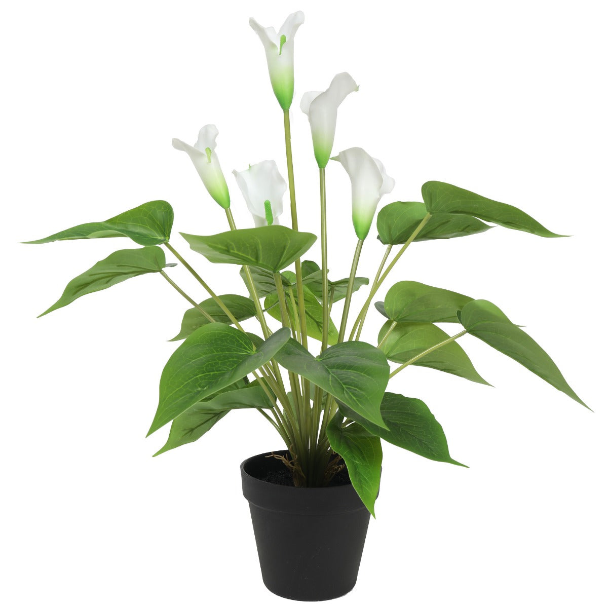 Artificial peace lily and calla lily plant with white flowers and dark green leaves, pot
