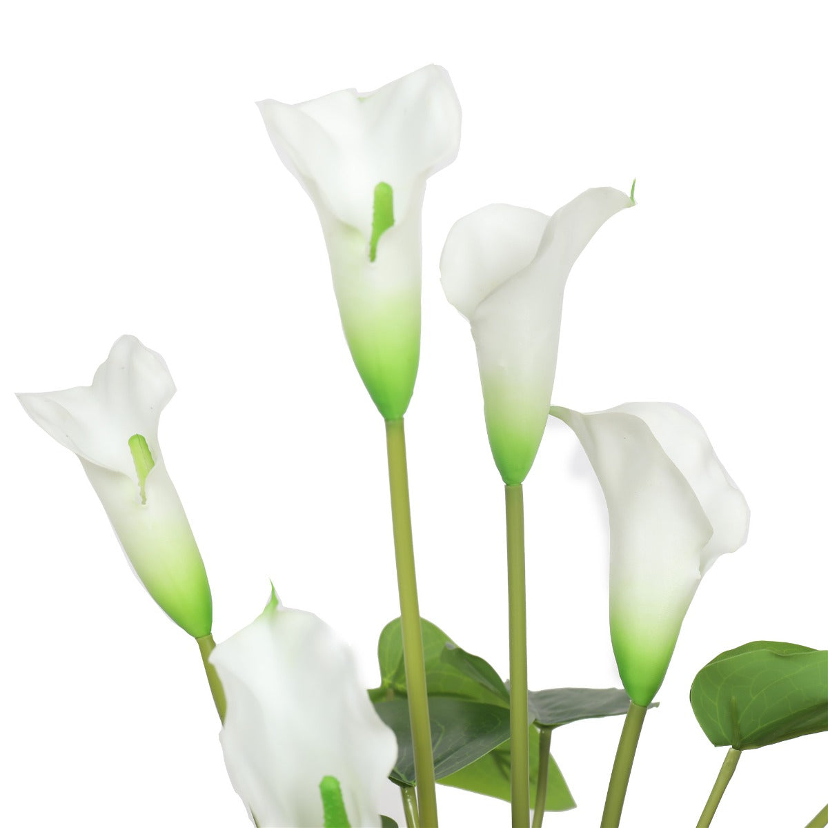 Artificial white calla and peace lily blooms on green stems with glossy leaves, close-up