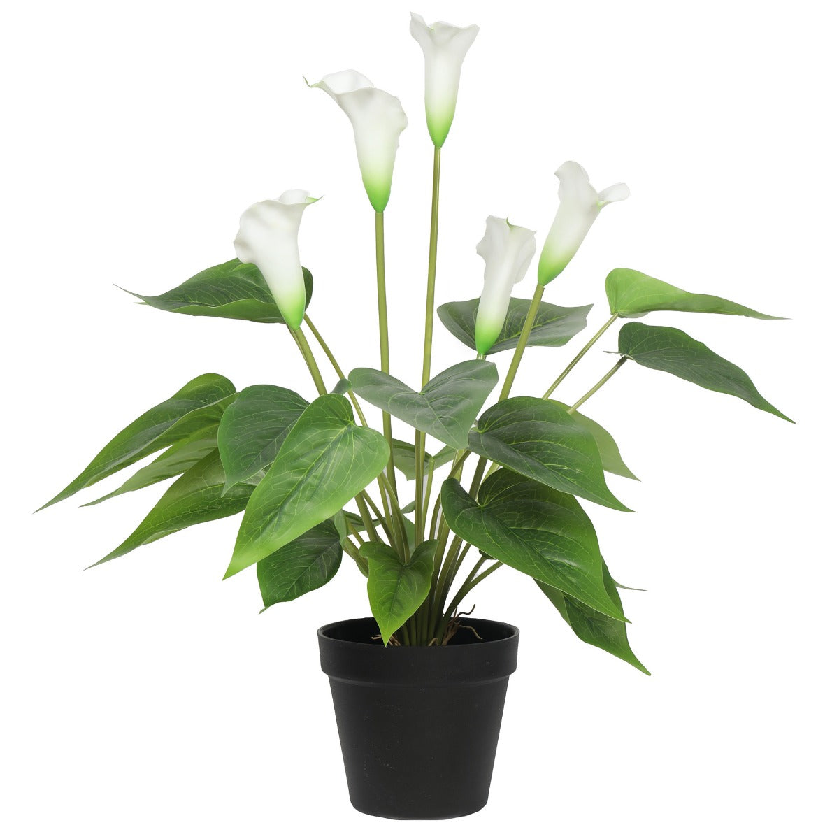 Artificial white peace lily and calla lily plant in black pot with green leaves