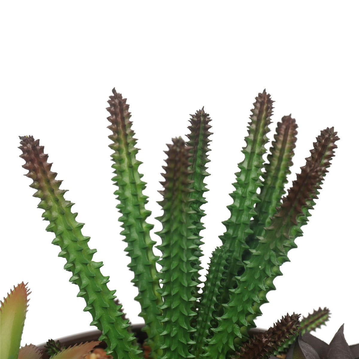 Potted Artificial Succulents with Round Decorative Bowl
