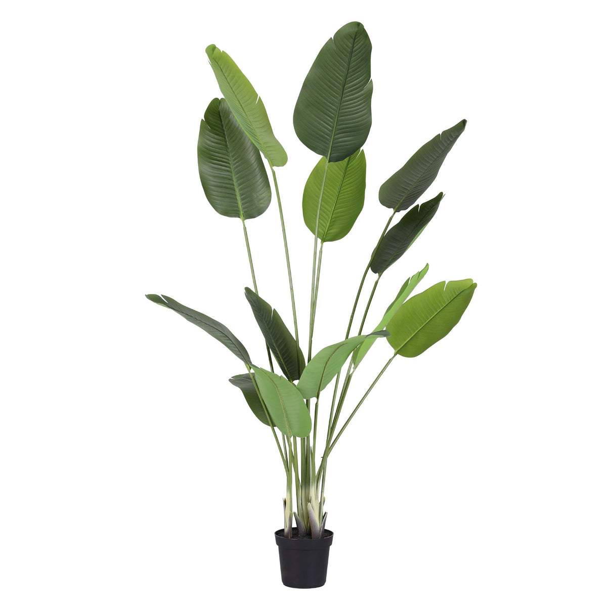 Artificial bird of paradise plant with multiple green leaves on thin stems, black pot