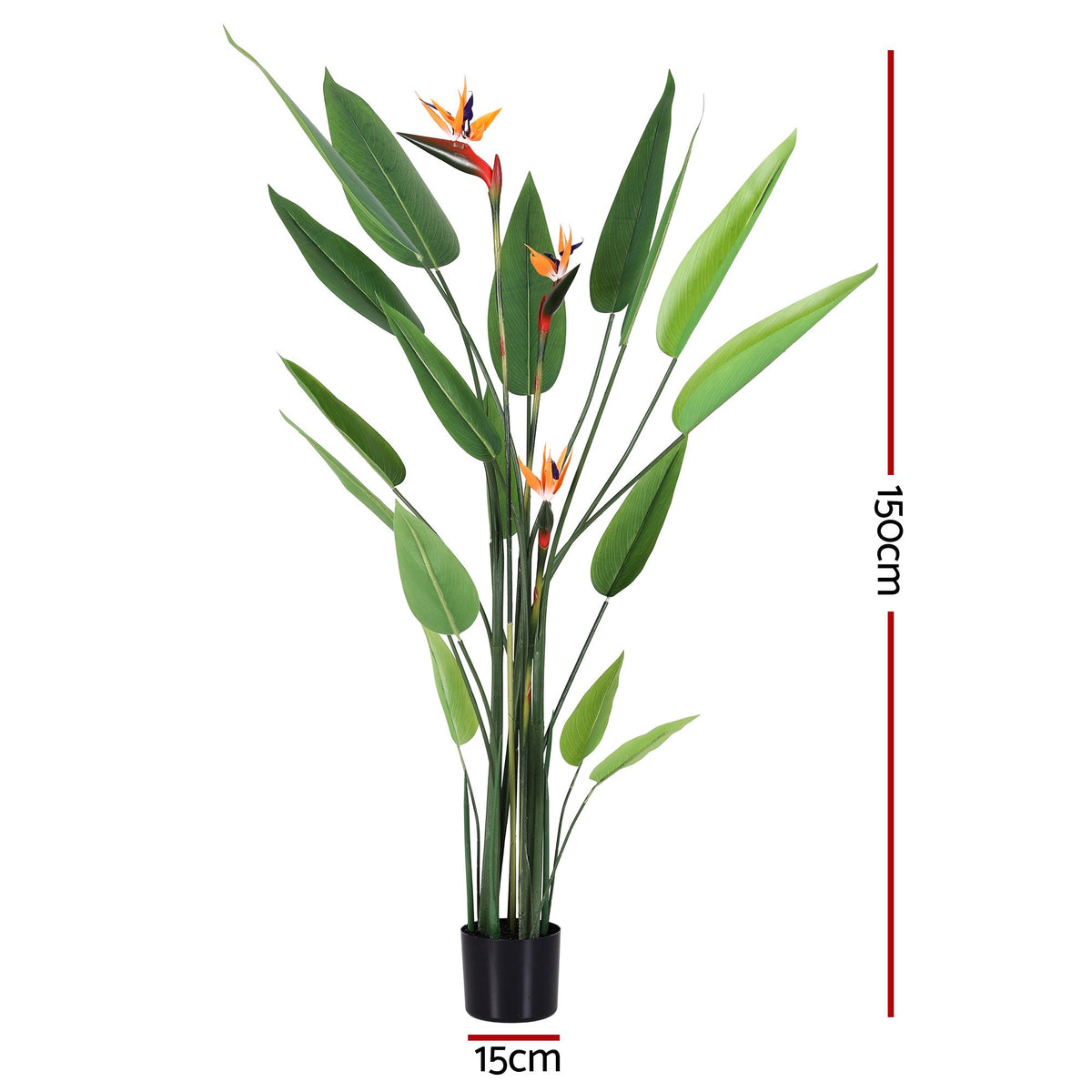 Artificial bird of paradise plant, tall green stems with orange-blue flowers in black pot