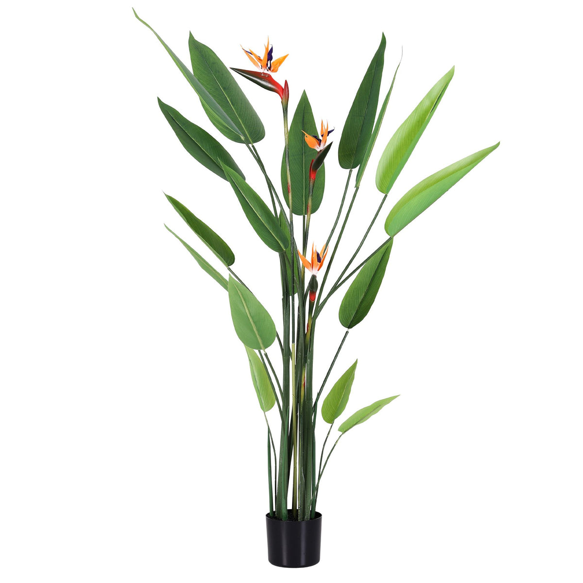 Artificial bird of paradise plant on white background, green leaves and orange-blue flowers in pot