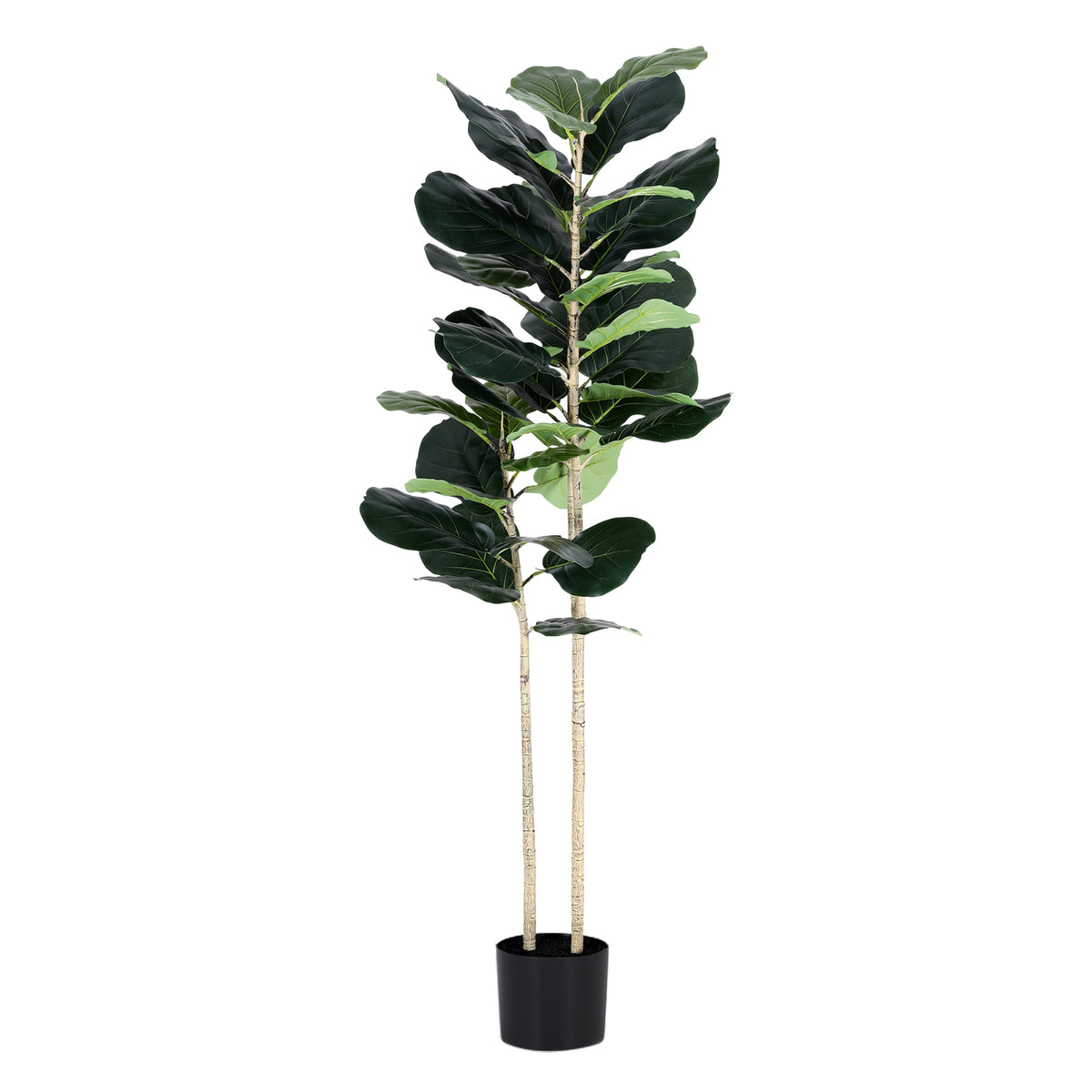 Artificial fiddle tree plant with dark green leaves on slender stems in a black pot