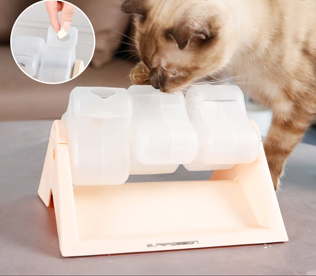 Cat Slow Feeder