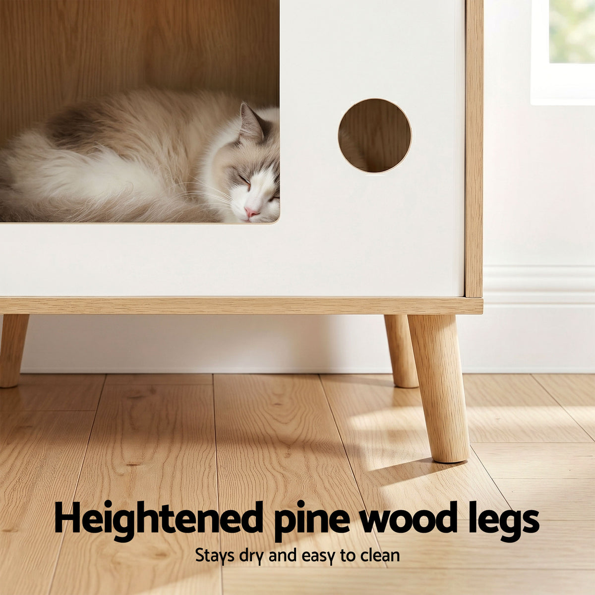 Close-up of cat sleeping inside a light wood and white bedside table open window