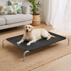 Pet Dog Bed Elevated Trampoline Durable Raised Heavy Duty Large Black