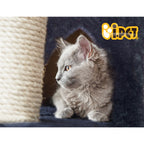 Cat Tree 244cm Tower Scratching Post Scratcher Trees Condo House Grey
