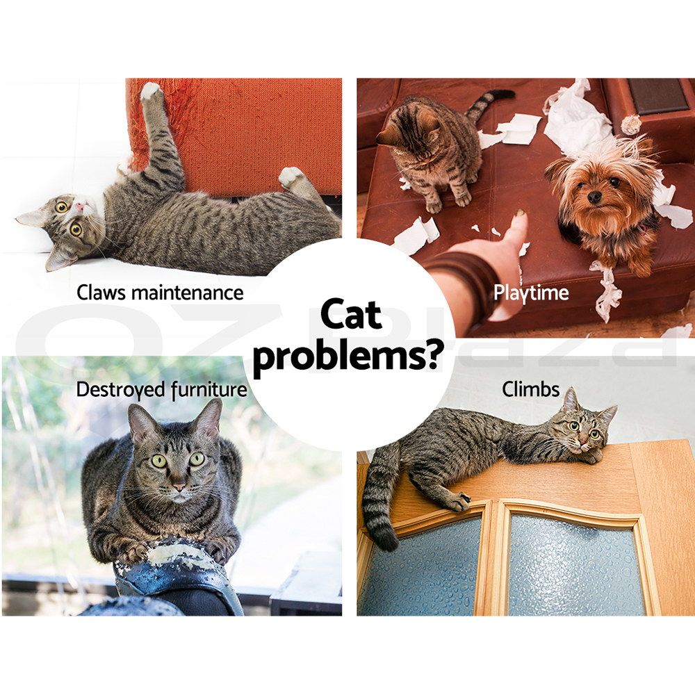 Cat scratching problem infographic with furniture damage and play photos