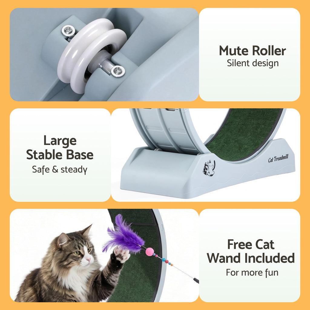 i.Pet Cat Exercise Wheel Treadmill Indoor 78cm Blue & Green
