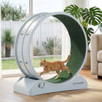 i.Pet Cat Exercise Wheel Treadmill Indoor 78cm Blue & Green