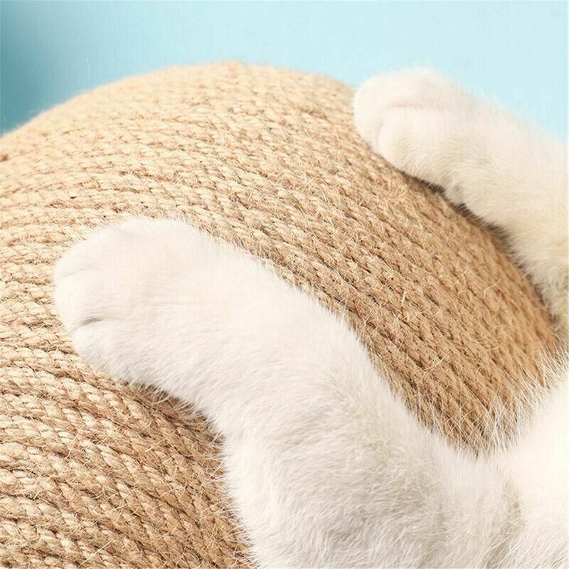 Cat paws on natural sisal scratching ball toy, tan textured surface