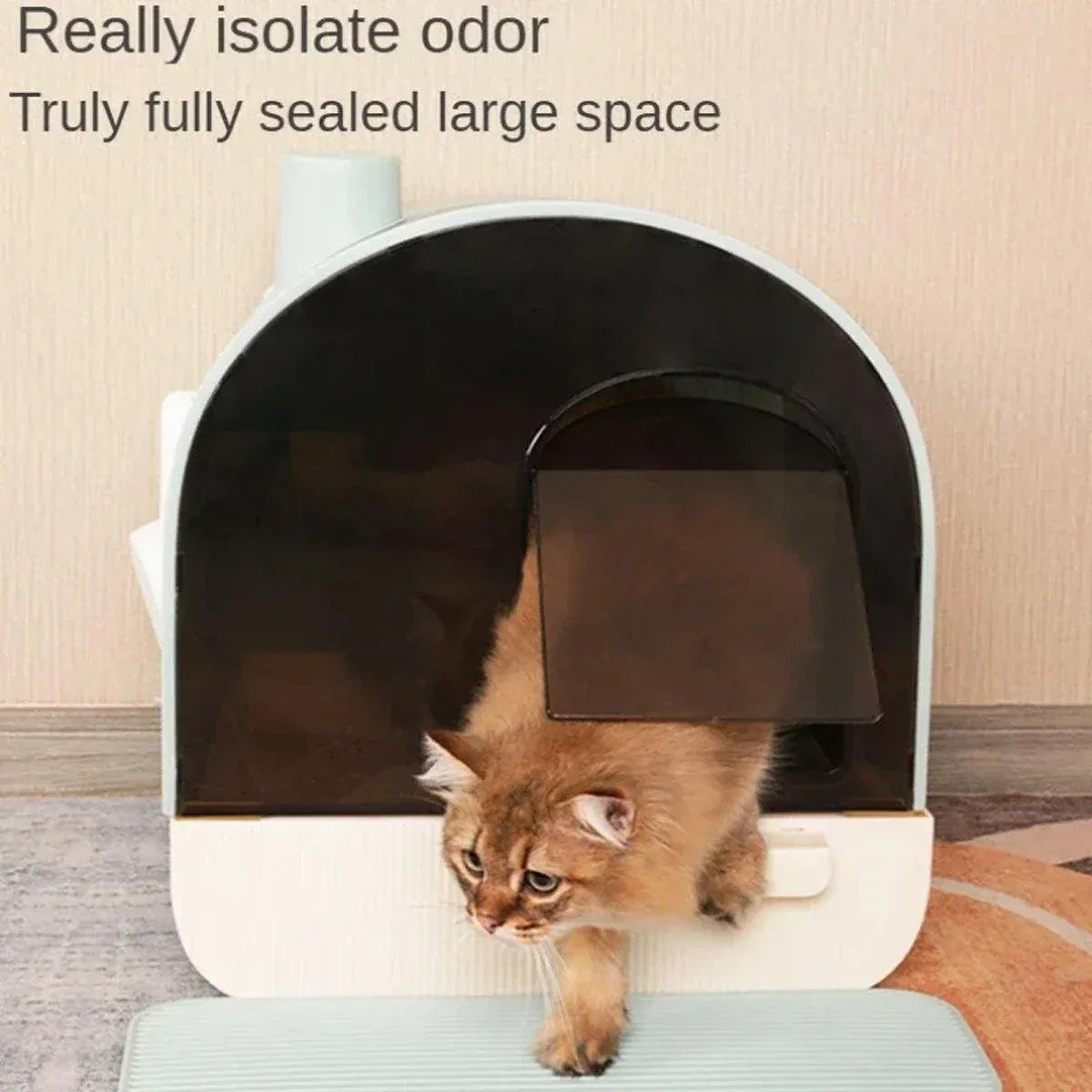 Enclosed cat litter box with arched door and cat near the entrance