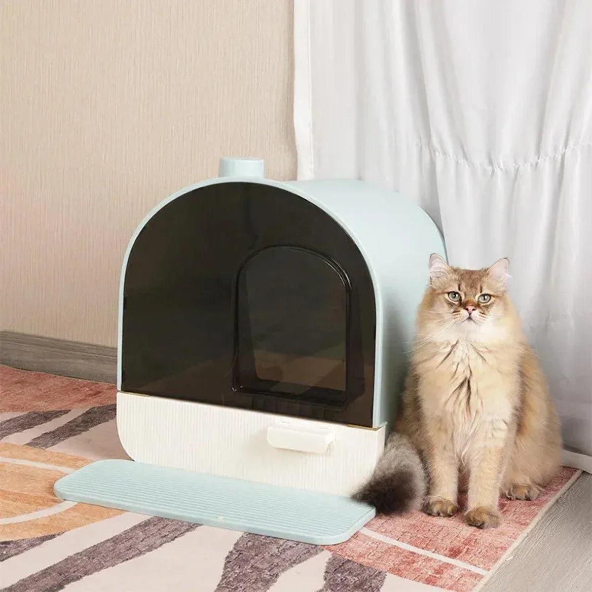 Mint green enclosed cat litter tray with arched door and cat on the mat