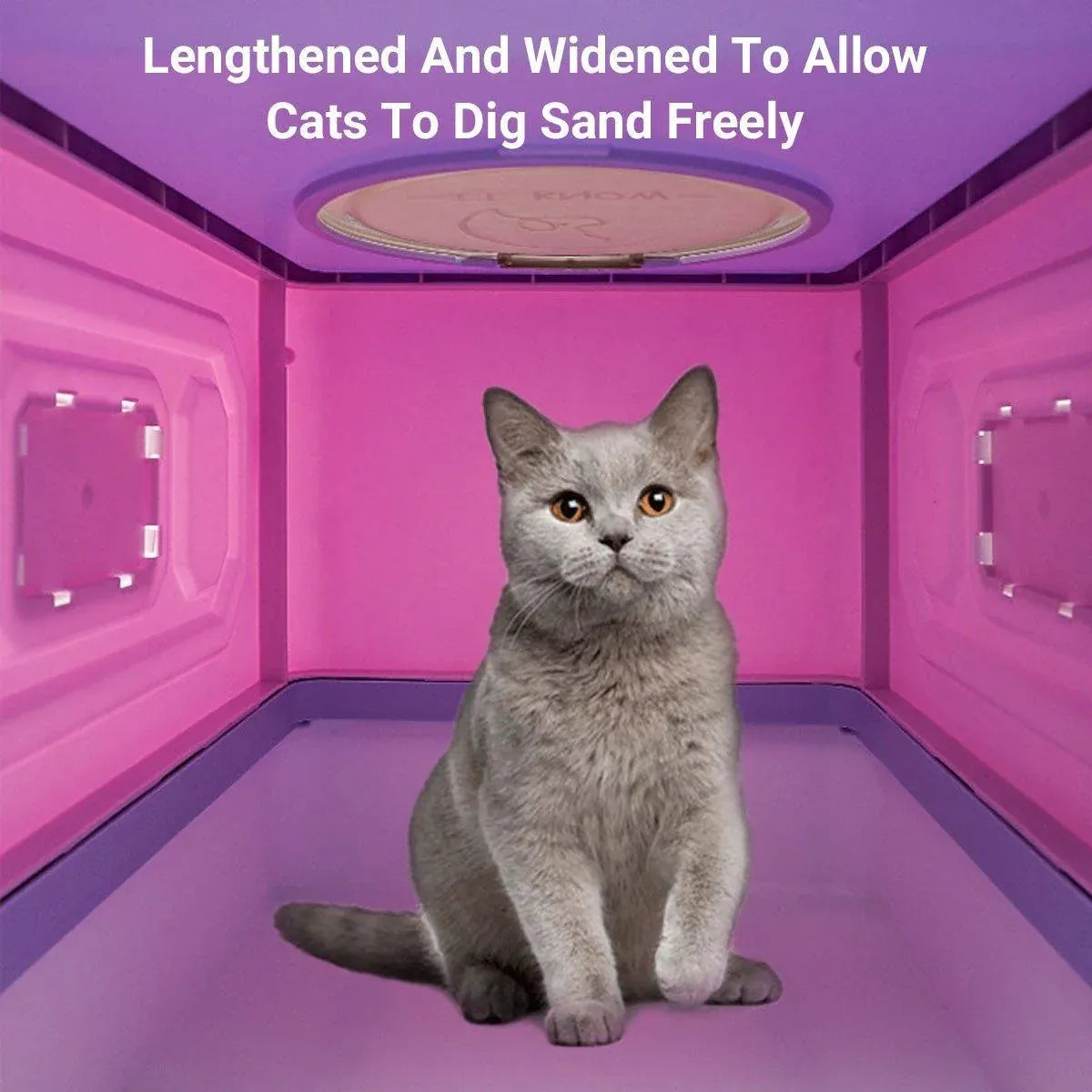 Purple enclosed litter box with front entry and top round access, gray cat inside