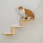 Solid Wood Wall Mounted Cat Climbing Tree Rack Platform Space Capsule Bed Shelf