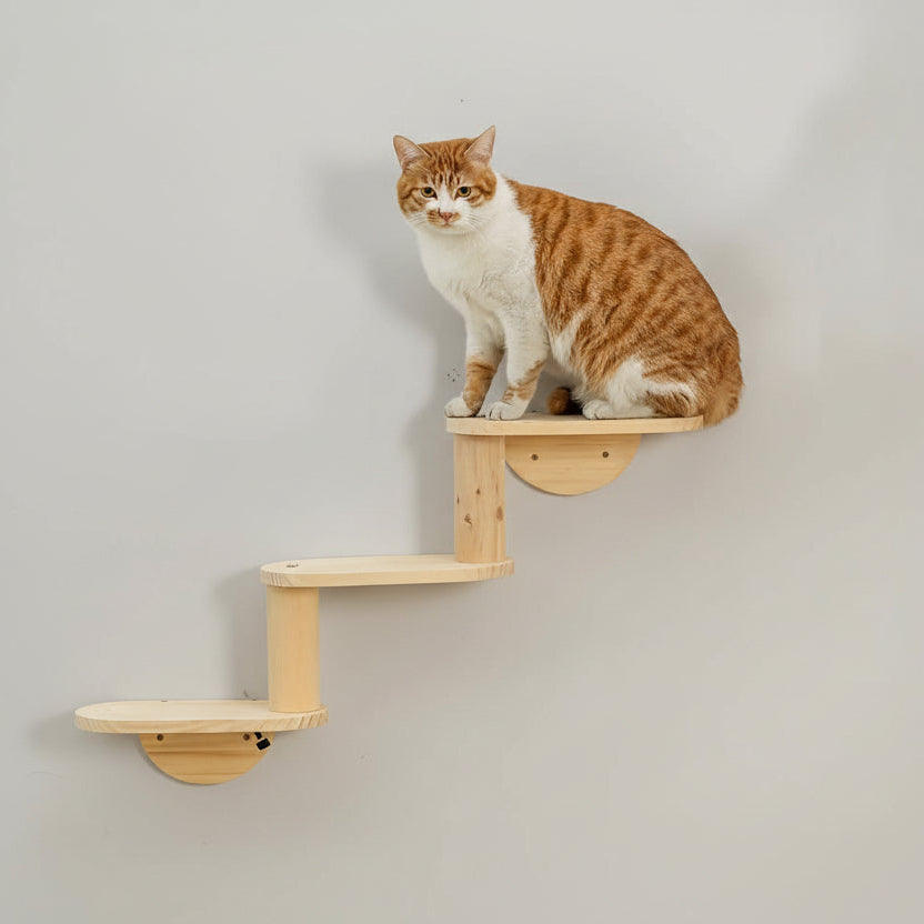 Solid Wood Wall Mounted Cat Climbing Tree Rack Platform Space Capsule Bed Shelf