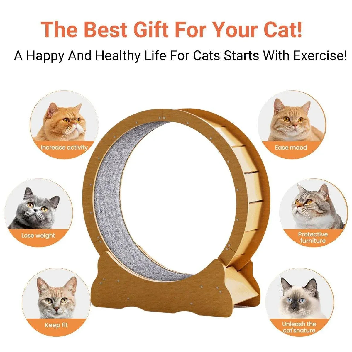 Wooden cat exercise wheel toy with gray inner ring and side climbing section