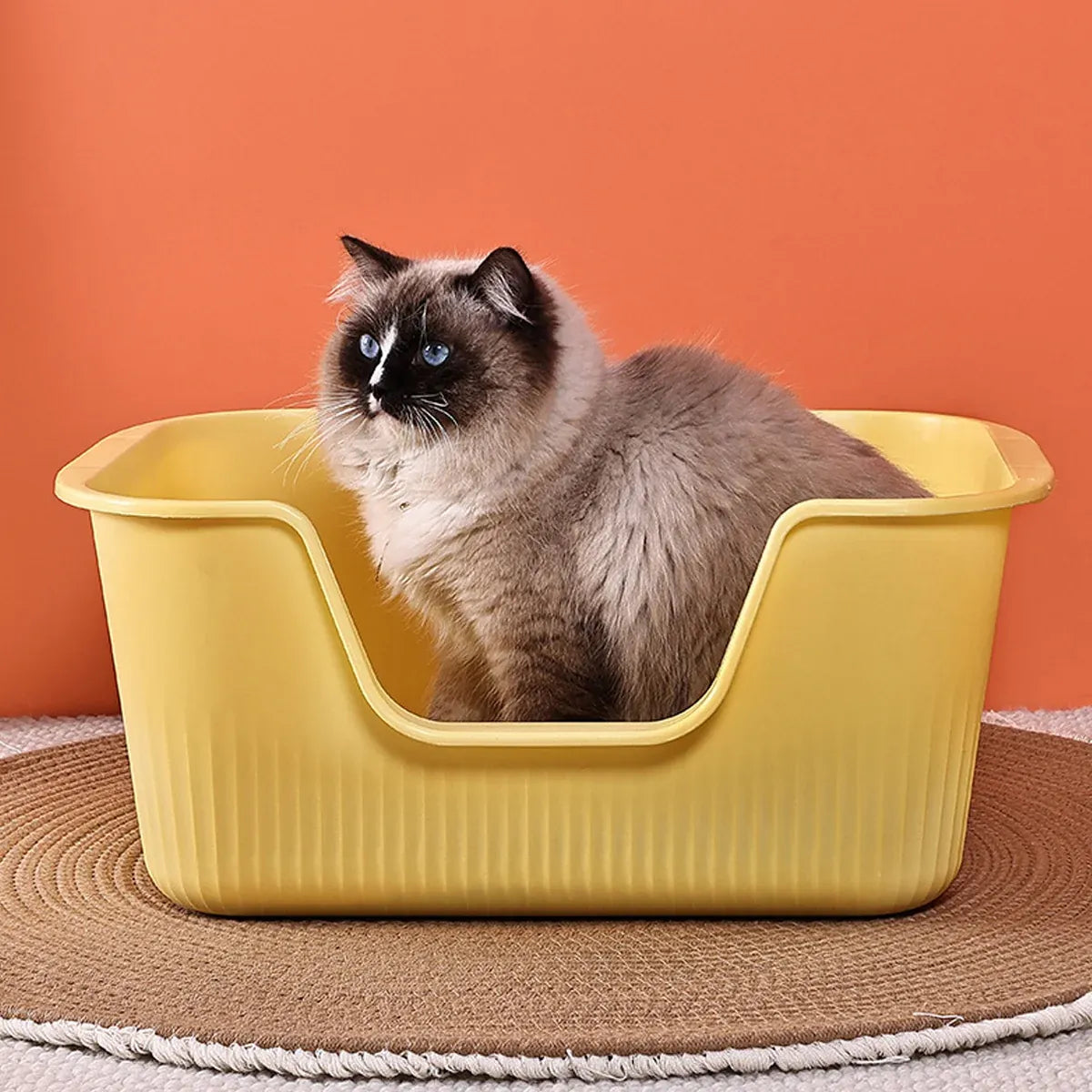 Yellow semi-enclosed cat litter box with cat sitting in the front opening