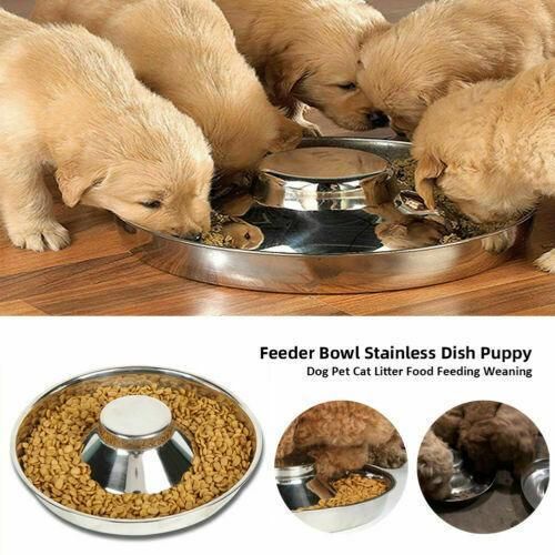 Stainless Steel Pet Bowl Slow Feeder Dish Puppy Dog Cat Food Feeding Weaning Bowl - L
