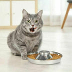 Stainless Steel Pet Bowl Slow Feeder Dish Puppy Dog Cat Food Feeding Weaning Bowl - L