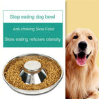 Stainless Steel Pet Bowl Slow Feeder Dish Puppy Dog Cat Food Feeding Weaning Bowl - M