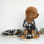 Stainless Steel Pet Bowl Slow Feeder Dish Puppy Dog Cat Food Feeding Weaning Bowl - M