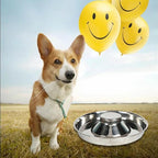 Stainless Steel Pet Bowl Slow Feeder Dish Puppy Dog Cat Food Feeding Weaning Bowl - S