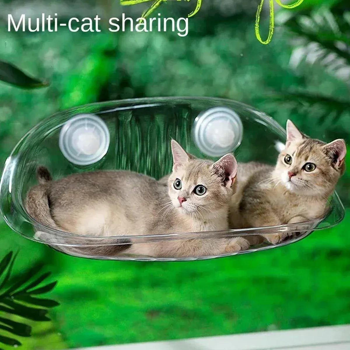Cat Hammock Bed Glass Hanging Basket Clear Pet Nest Elevated Sleeping Bed - White