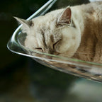 Cat Hammock Bed Glass Hanging Basket Clear Pet Nest Elevated Sleeping Bed - White