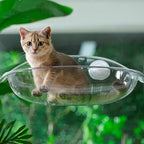 Cat Hammock Bed Glass Hanging Basket Clear Pet Nest Elevated Sleeping Bed - White