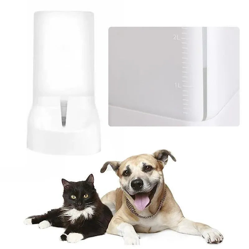 Two pets, a cat and a dog, lying on a white background with two white containers.