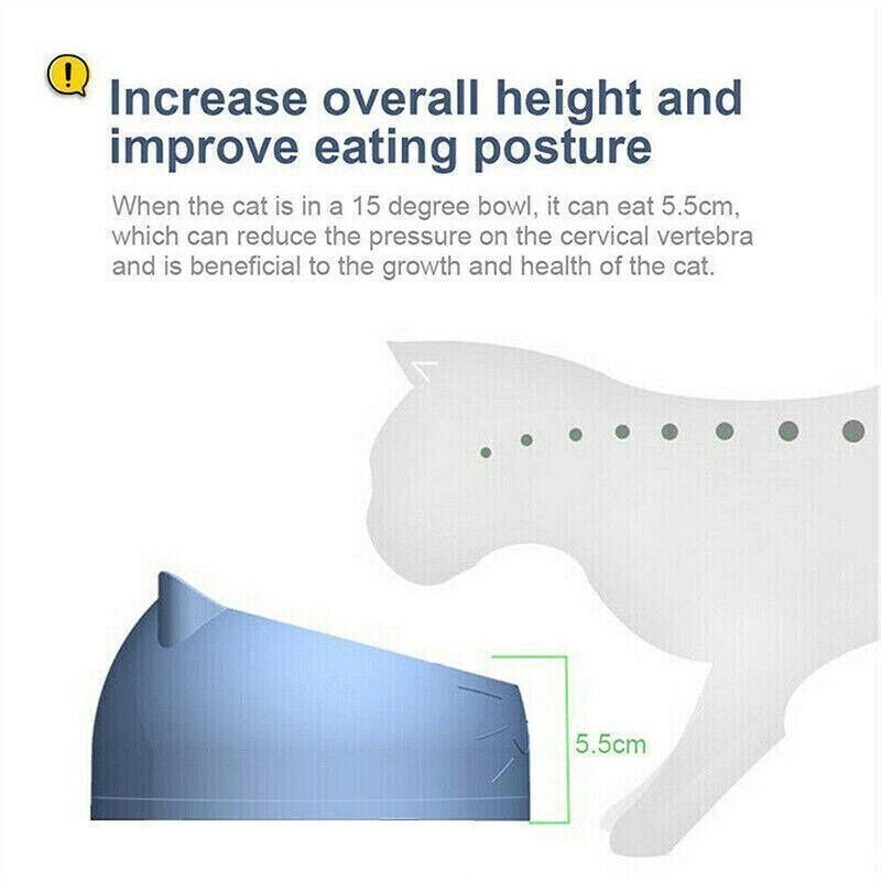 Tilted raised pet food bowl designed to improve eating posture