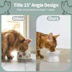 Ceramic Cat Bowl Cute Tall Raised Cat Food Bowl for Pets Eating Comfortably - Black