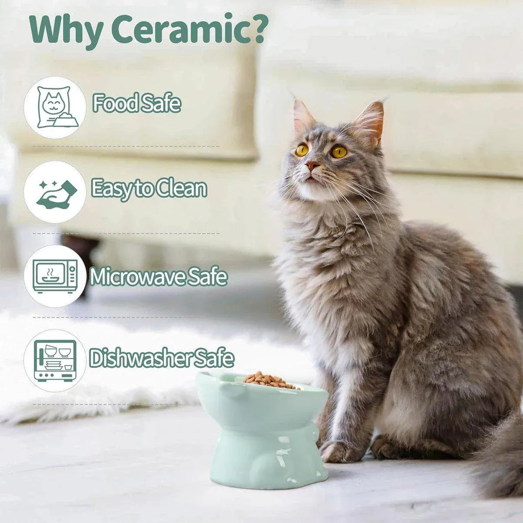 Ceramic Cat Bowl Cute Tall Raised Cat Food Bowl for Pets Eating Comfortably - Black