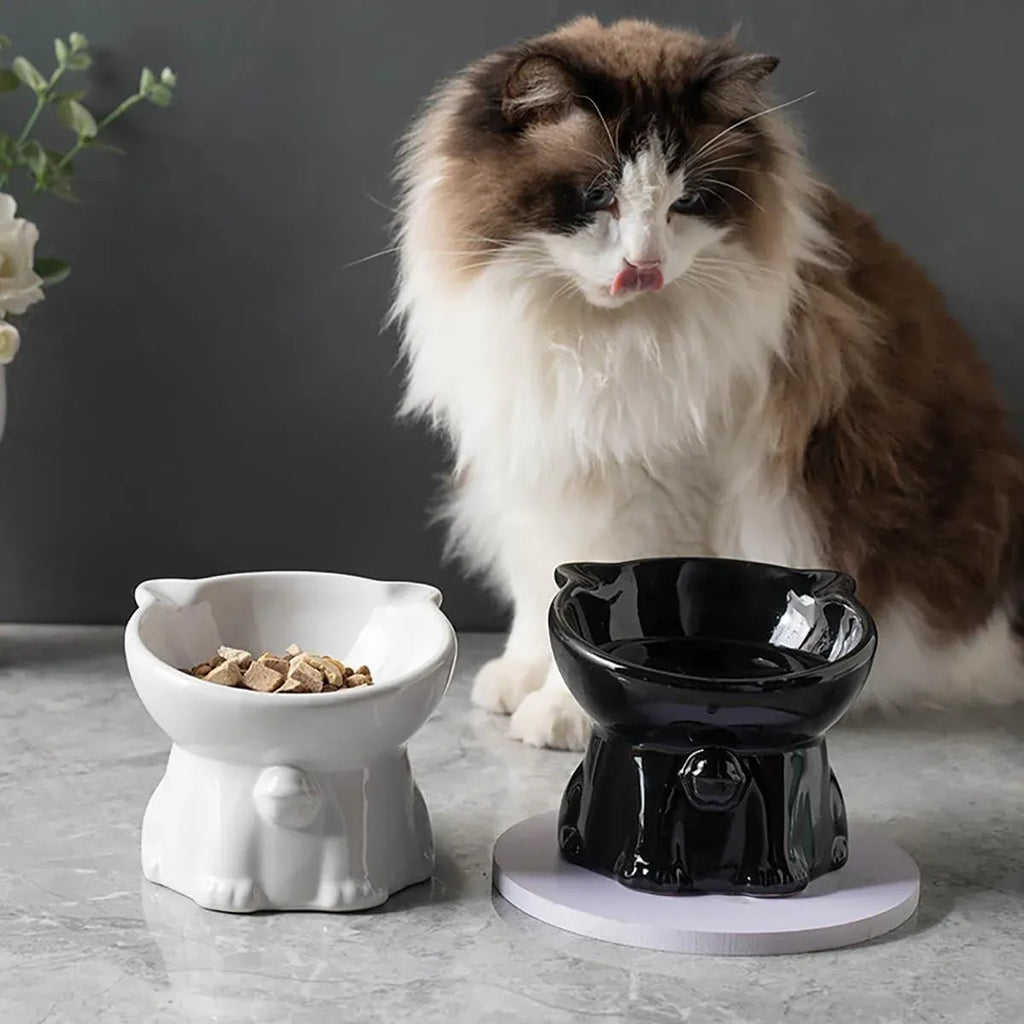 Ceramic Cat Bowl Cute Tall Raised Cat Food Bowl for Pets Eating Comfortably - Black