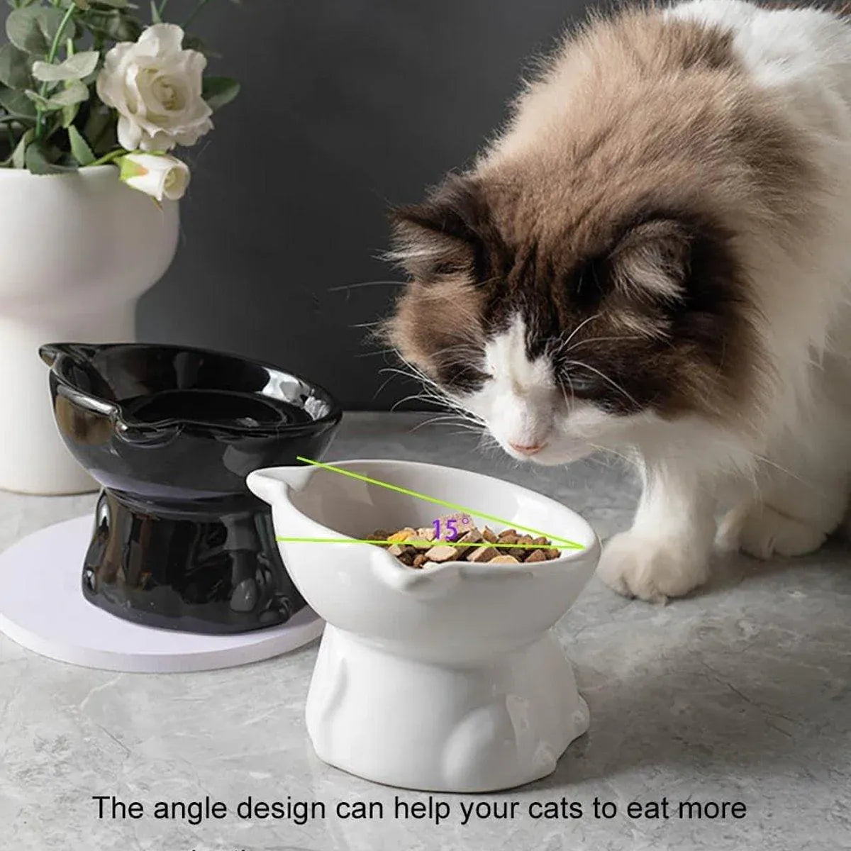 Ceramic Cat Bowl Cute Tall Raised Cat Food Bowl for Pets Eating Comfortably - Pink