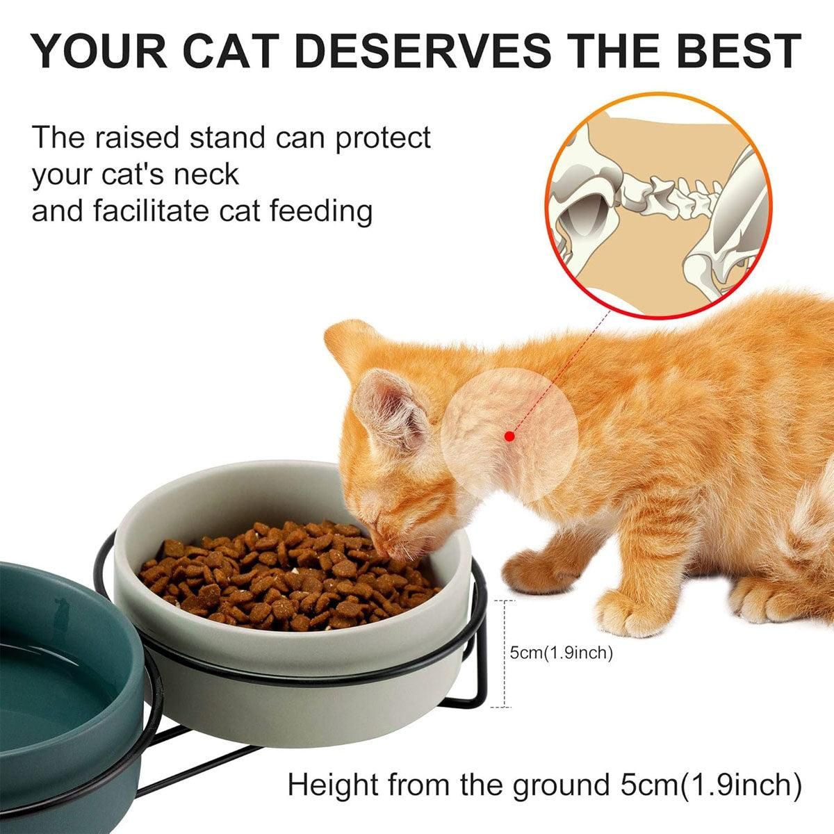 Teal ceramic pet bowl on raised stand, showing one basin and feeding support height