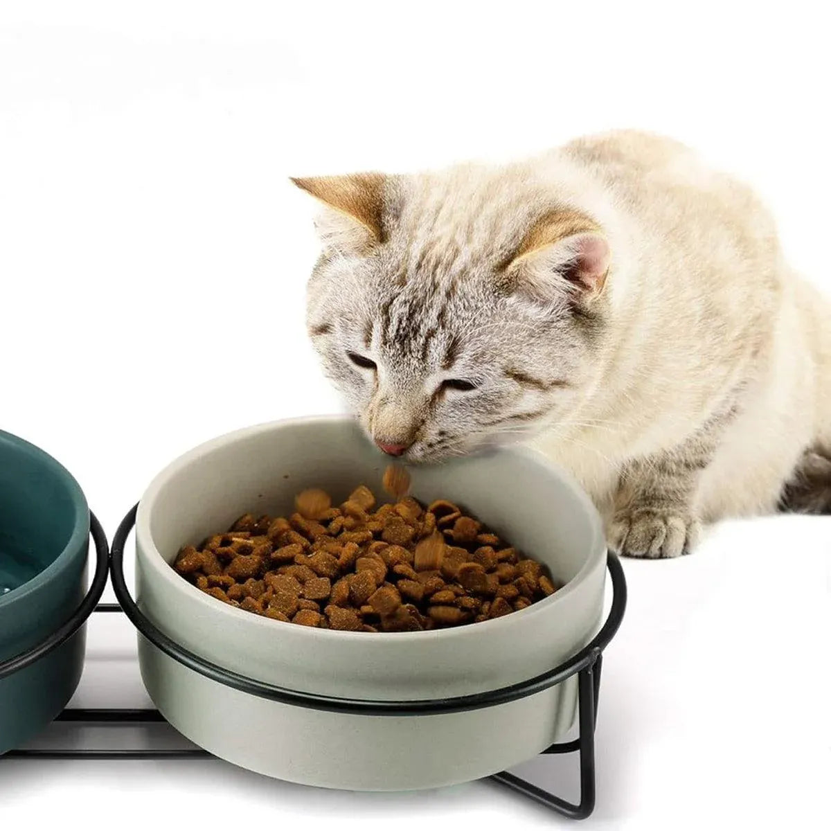 Light green ceramic pet bowl on black metal stand