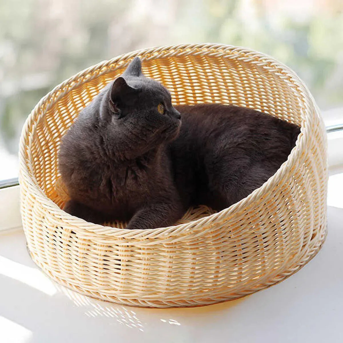 Beige woven cat nest bed with black cat curled inside