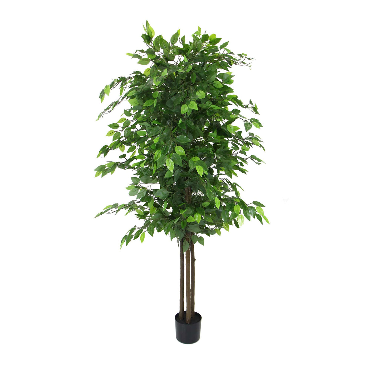 Artificial ficus tree with dense green leaves and two dark stems in a black pot