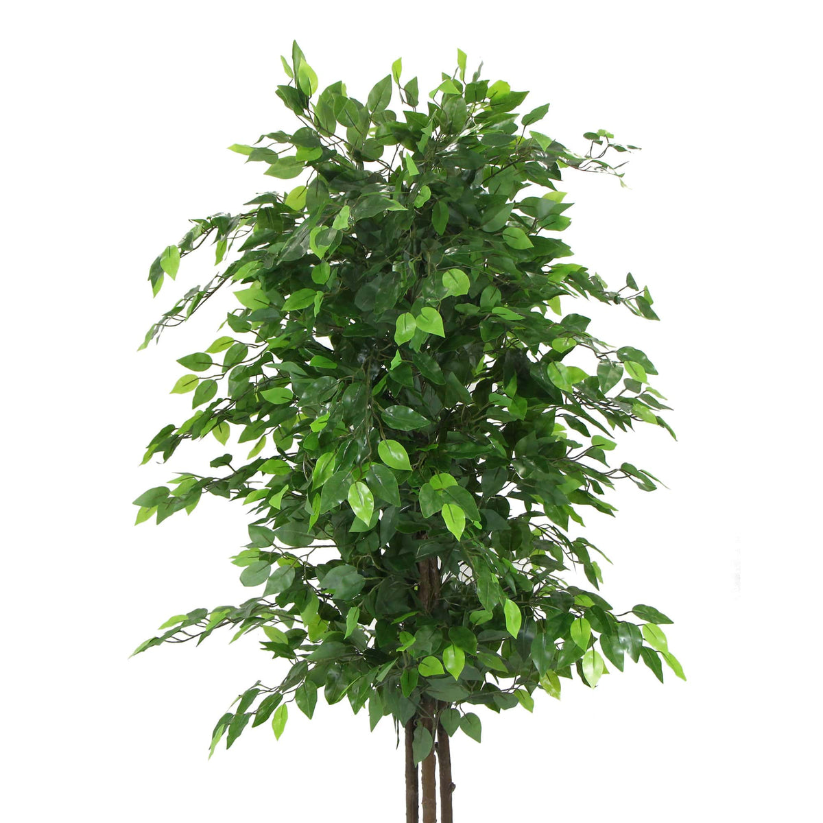 Artificial ficus tree canopy of lush green leaves on twin stems