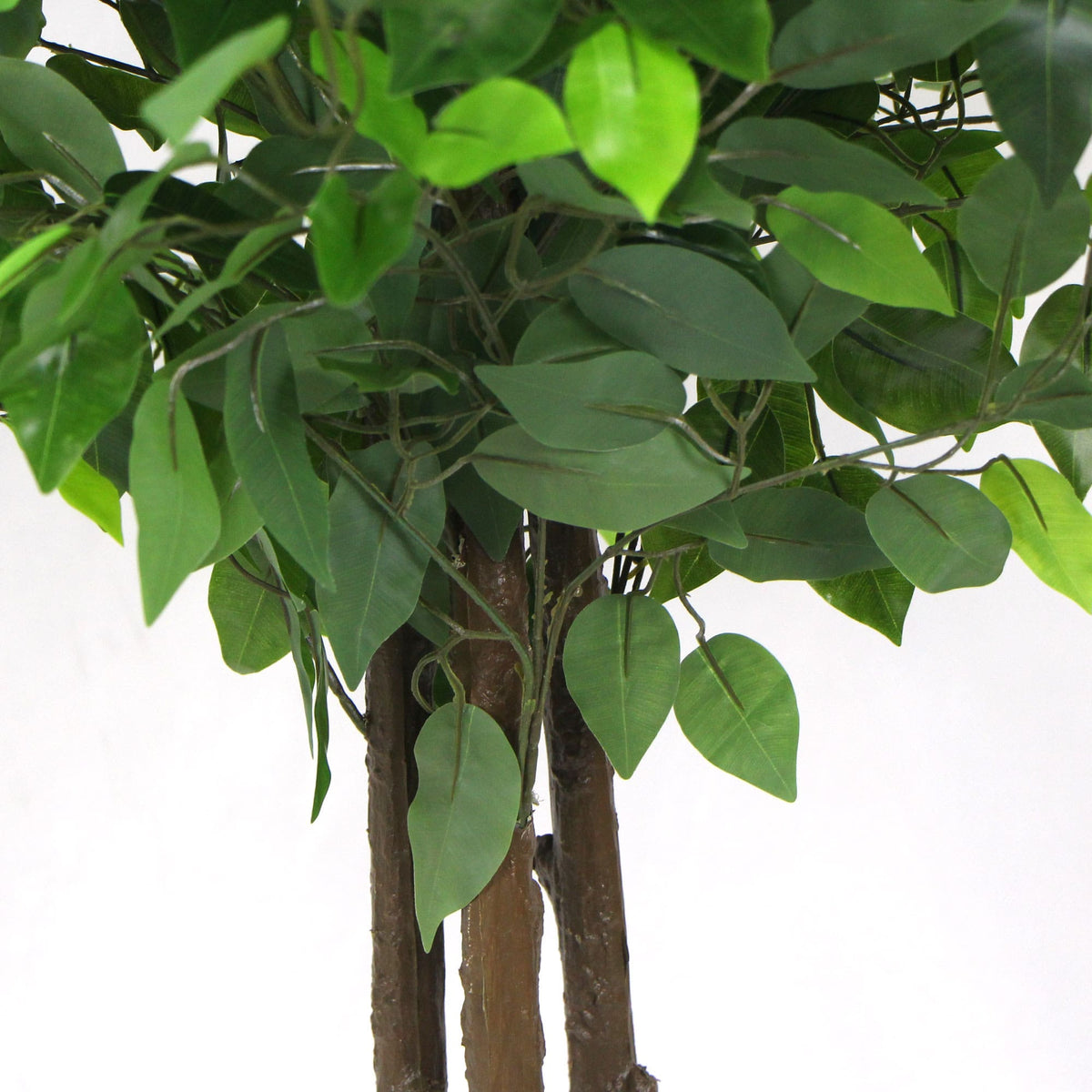 Artificial ficus tree trunk with hanging glossy green leaves