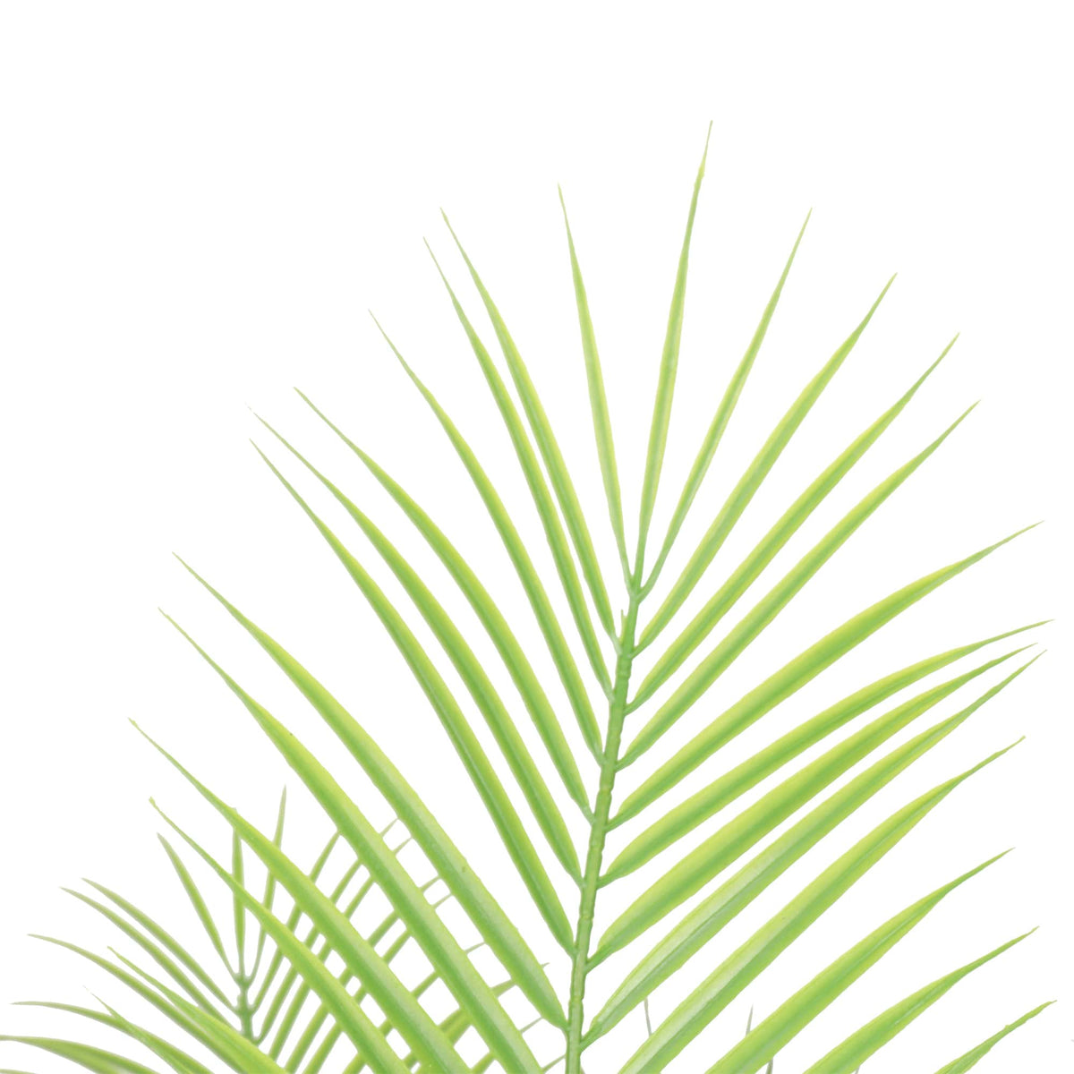 Artificial areca palm fronds with slender green leaflets on upright stems