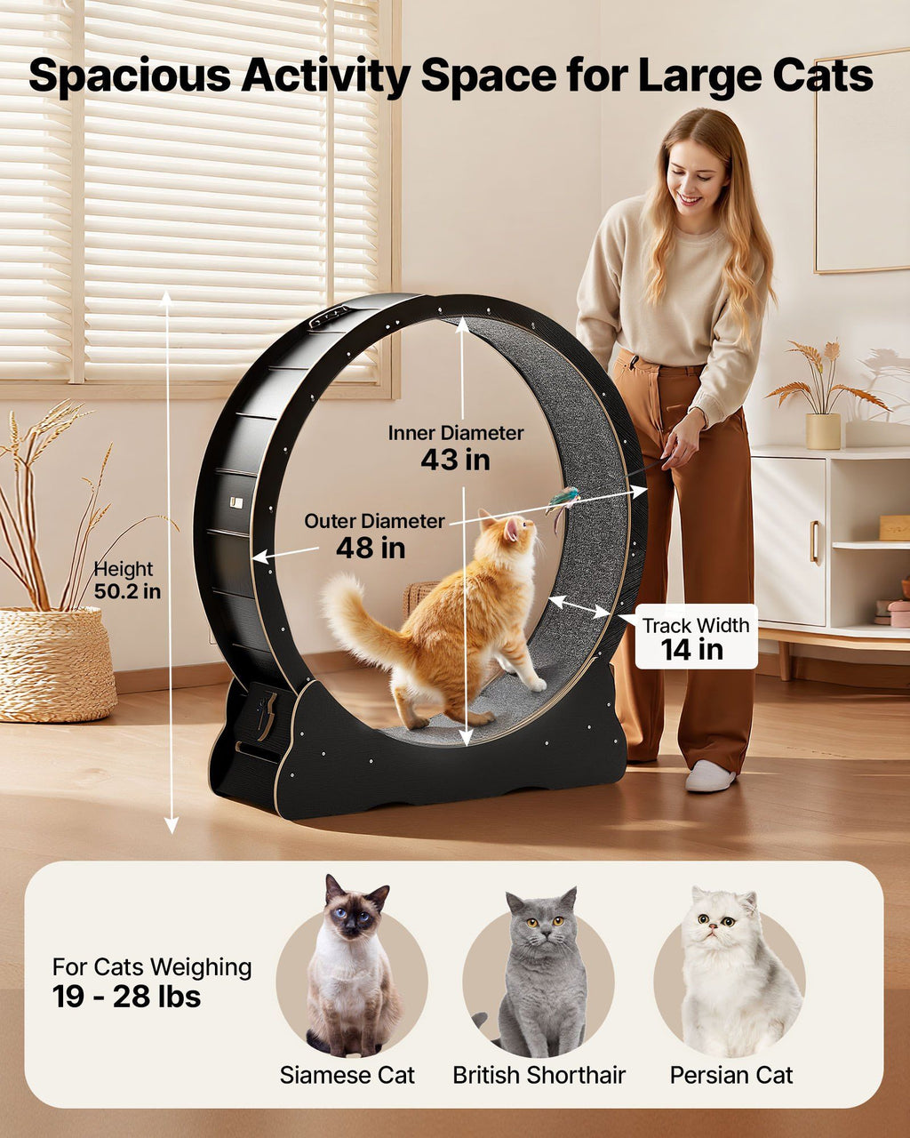 Cat Exercise Wheel, 120 cm Wooden Cat Running Wheel for Indoor Cats up to 12.7 kg, Cats Treadmill with Carpeted Runway & Locking Mechanism, Quiet Kitten Sport Toys for Pets Fitness, Black