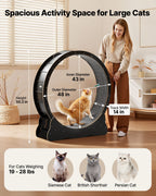 Cat Exercise Wheel, 120 cm Wooden Cat Running Wheel for Indoor Cats up to 12.7 kg, Cats Treadmill with Carpeted Runway & Locking Mechanism, Quiet Kitten Sport Toys for Pets Fitness, Black