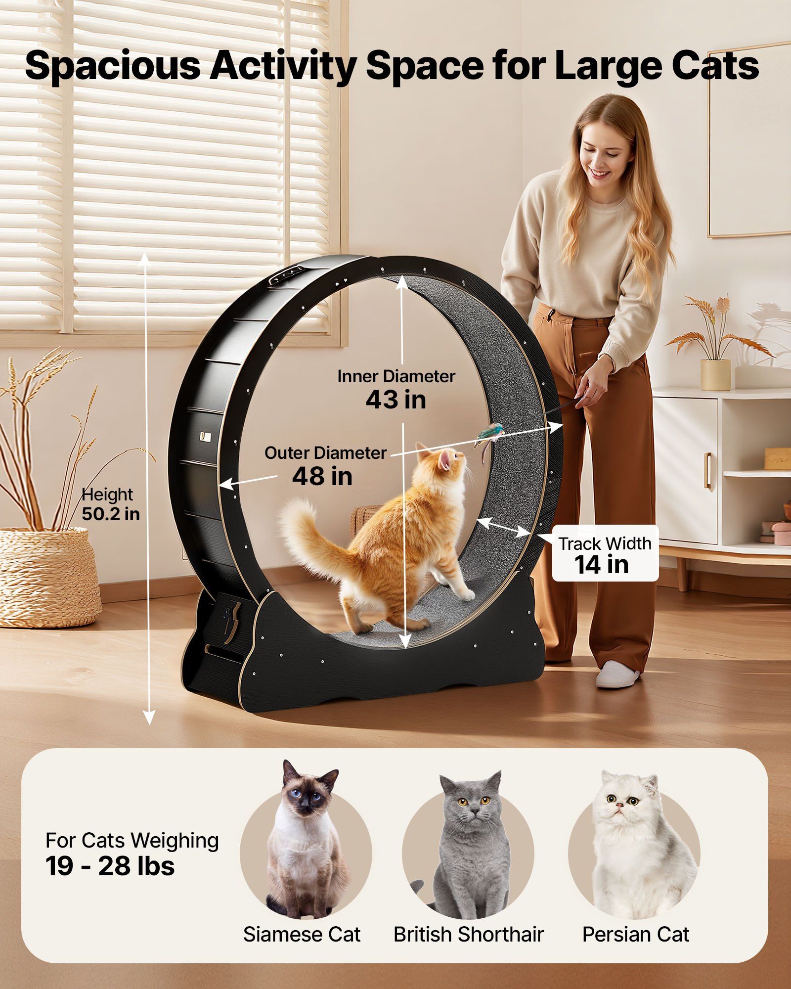 Cat Exercise Wheel, 120 cm Wooden Cat Running Wheel for Indoor Cats up to 12.7 kg, Cats Treadmill with Carpeted Runway & Locking Mechanism, Quiet Kitten Sport Toys for Pets Fitness, Black