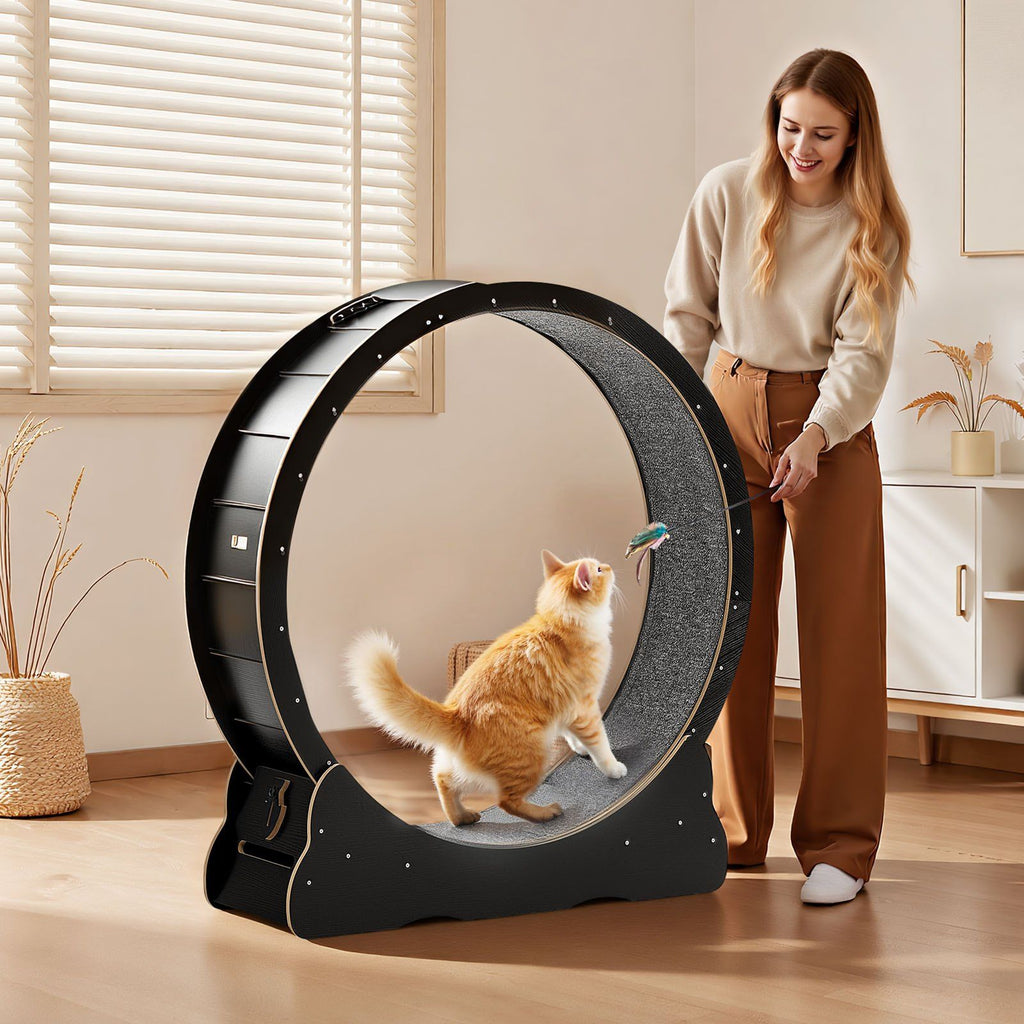 Cat Exercise Wheel, 120 cm Wooden Cat Running Wheel for Indoor Cats up to 12.7 kg, Cats Treadmill with Carpeted Runway & Locking Mechanism, Quiet Kitten Sport Toys for Pets Fitness, Black