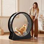 Cat Exercise Wheel, 120 cm Wooden Cat Running Wheel for Indoor Cats up to 12.7 kg, Cats Treadmill with Carpeted Runway & Locking Mechanism, Quiet Kitten Sport Toys for Pets Fitness, Black
